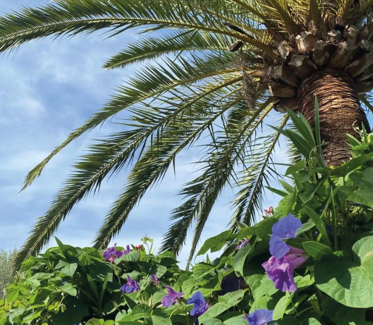 לןקמאג'ור Finca Animas בית נופש