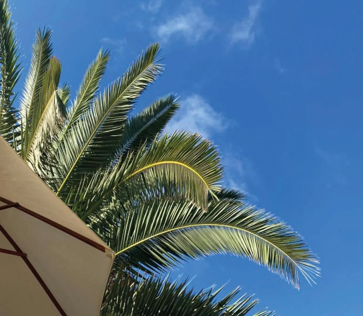 בית נופש לןקמאג'ור Finca Animas